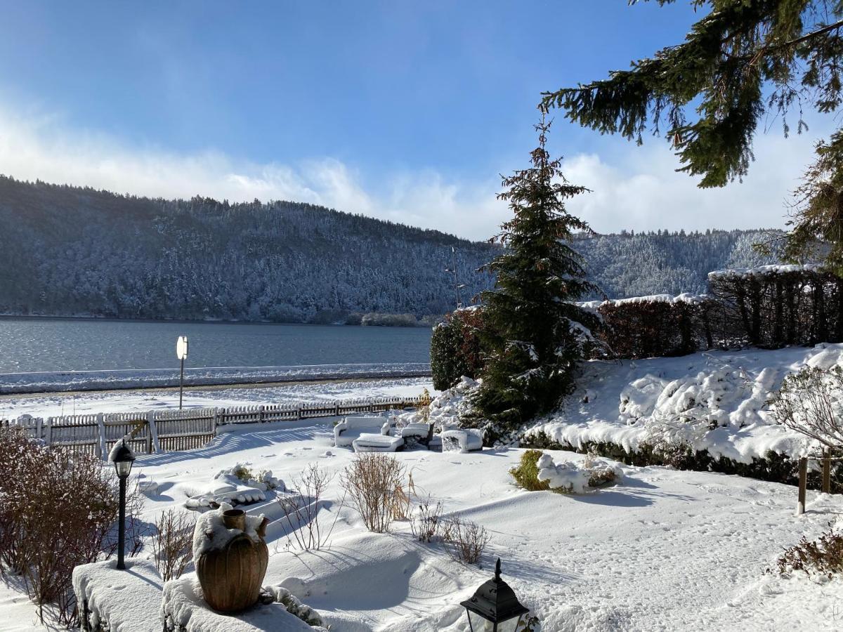 Hotel La Bonne Hotesse Chambon-sur-Lac Εξωτερικό φωτογραφία